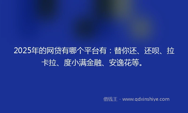 2025年的网贷有哪个平台有：替你还、还呗、拉卡拉、度小满金融、安逸花等。