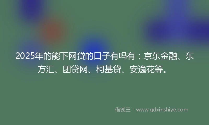 2025年的能下网贷的口子有吗有：京东金融、东方汇、团贷网、柯基贷、安逸花等。