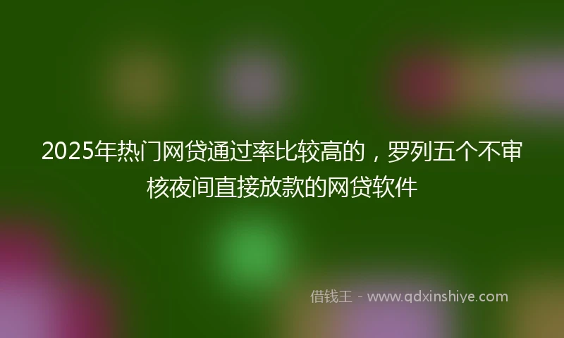 2025年热门网贷通过率比较高的，罗列五个不审核夜间直接放款的网贷软件