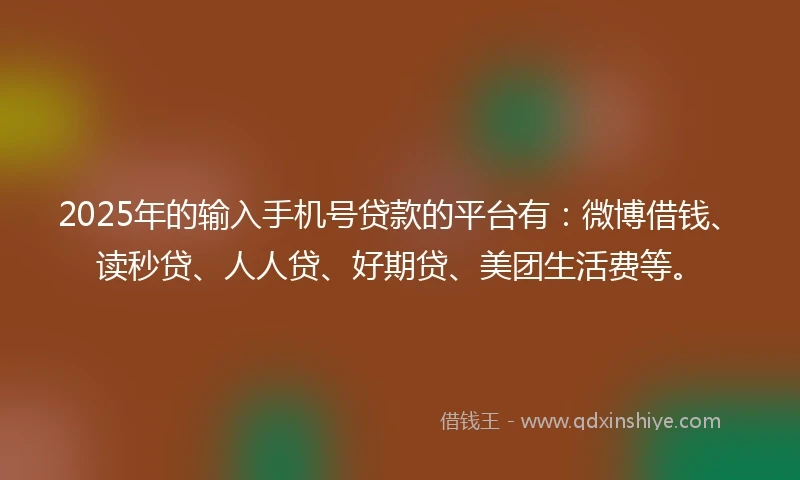 2025年的输入手机号贷款的平台有：微博借钱、读秒贷、人人贷、好期贷、美团生活费等。