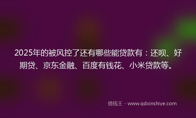 2025年的被风控了还有哪些能贷款有：还呗、好期贷、京东金融、百度有钱花、小米贷款等。
