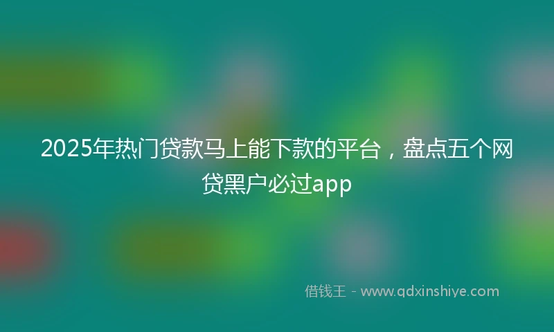 2025年热门贷款马上能下款的平台，盘点五个网贷黑户必过app