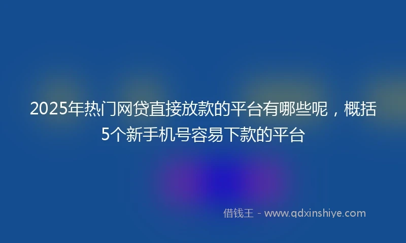 2025年热门网贷直接放款的平台有哪些呢，概括5个新手机号容易下款的平台