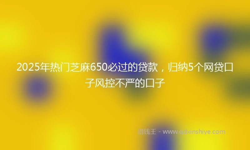 2025年热门芝麻650必过的贷款，归纳5个网贷口子风控不严的口子