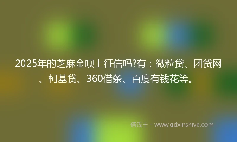 2025年的芝麻金呗上征信吗?有：微粒贷、团贷网、柯基贷、360借条、百度有钱花等。