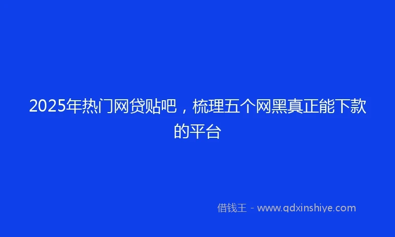 2025年热门网贷贴吧，梳理五个网黑真正能下款的平台