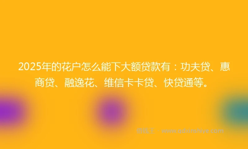 2025年的花户怎么能下大额贷款有：功夫贷、惠商贷、融逸花、维信卡卡贷、快贷通等。