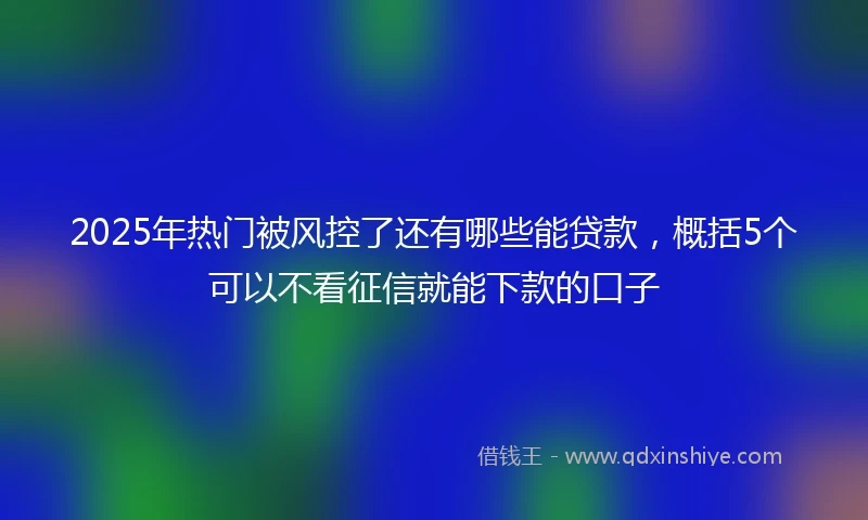 2025年热门被风控了还有哪些能贷款，概括5个可以不看征信就能下款的口子