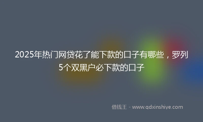 2025年热门网贷花了能下款的口子有哪些，罗列5个双黑户必下款的口子