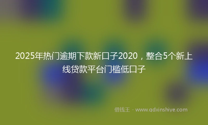 2025年热门逾期下款新口子2020，整合5个新上线贷款平台门槛低口子
