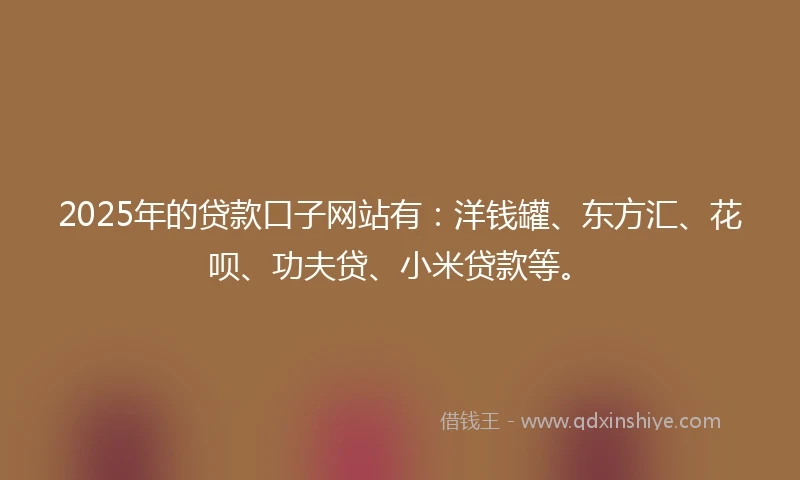 2025年的贷款口子网站有：洋钱罐、东方汇、花呗、功夫贷、小米贷款等。