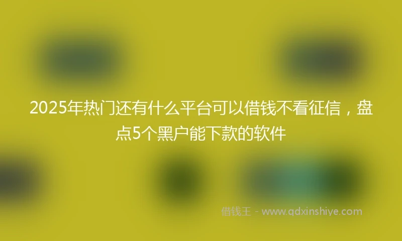 2025年热门还有什么平台可以借钱不看征信，盘点5个黑户能下款的软件