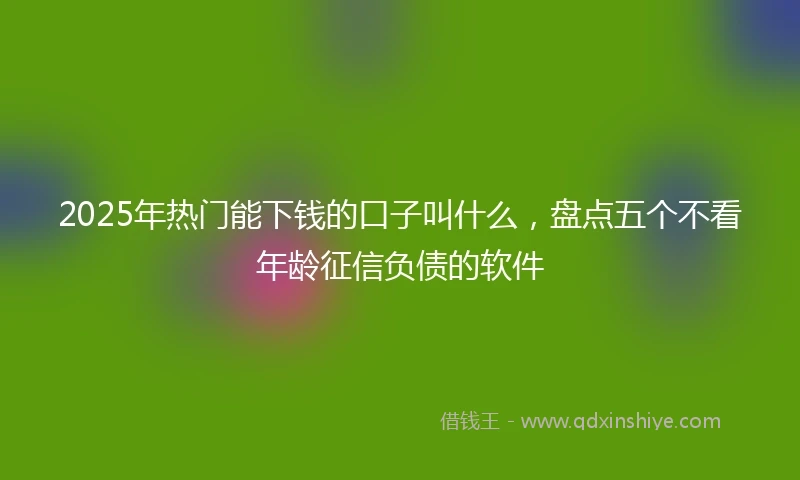 2025年热门能下钱的口子叫什么，盘点五个不看年龄征信负债的软件