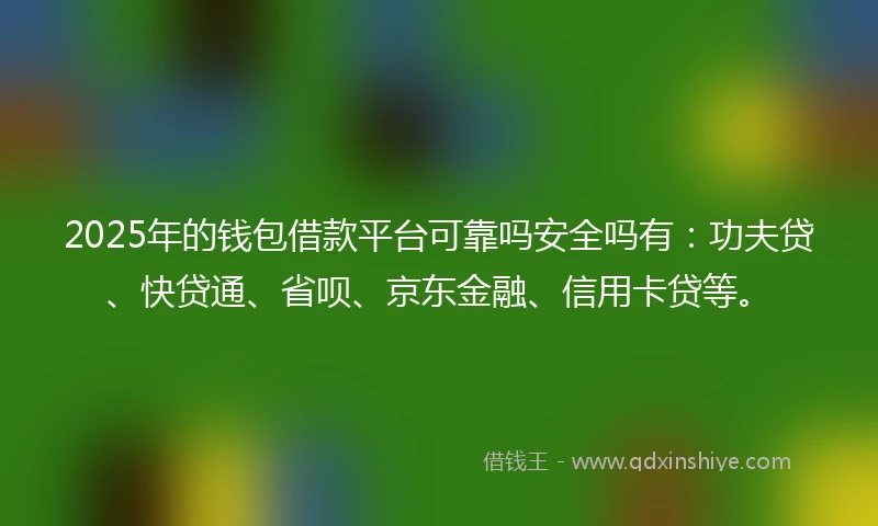 2025年的钱包借款平台可靠吗安全吗有：功夫贷、快贷通、省呗、京东金融、信用卡贷等。