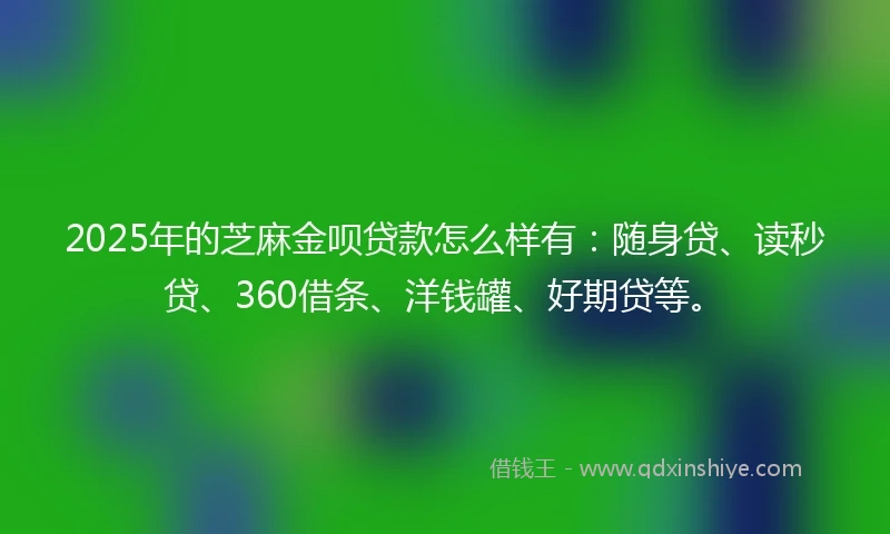 2025年的芝麻金呗贷款怎么样有：随身贷、读秒贷、360借条、洋钱罐、好期贷等。