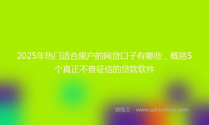 2025年热门适合黑户的网贷口子有哪些，概括5个真正不查征信的贷款软件