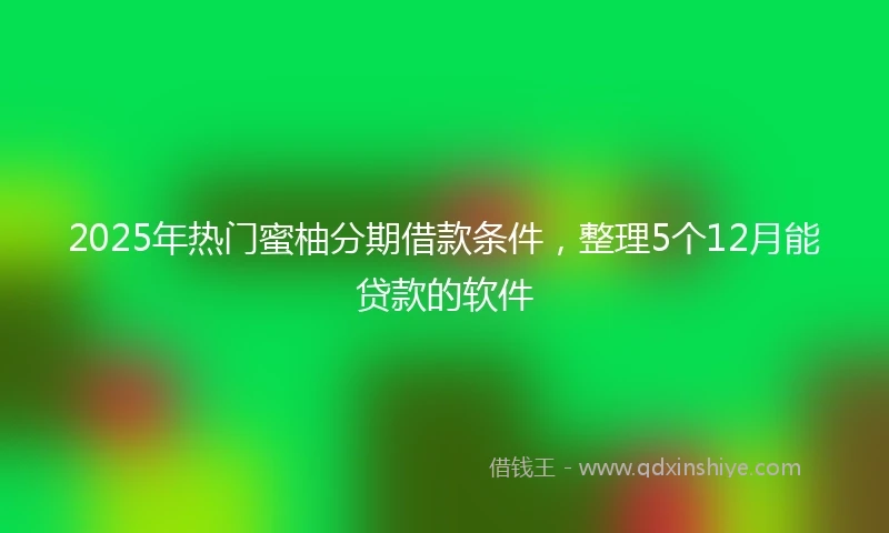 2025年热门蜜柚分期借款条件，整理5个12月能贷款的软件