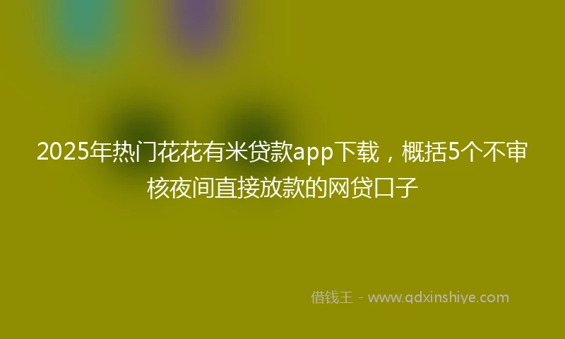 2025年热门花花有米贷款app下载，概括5个不审核夜间直接放款的网贷口子