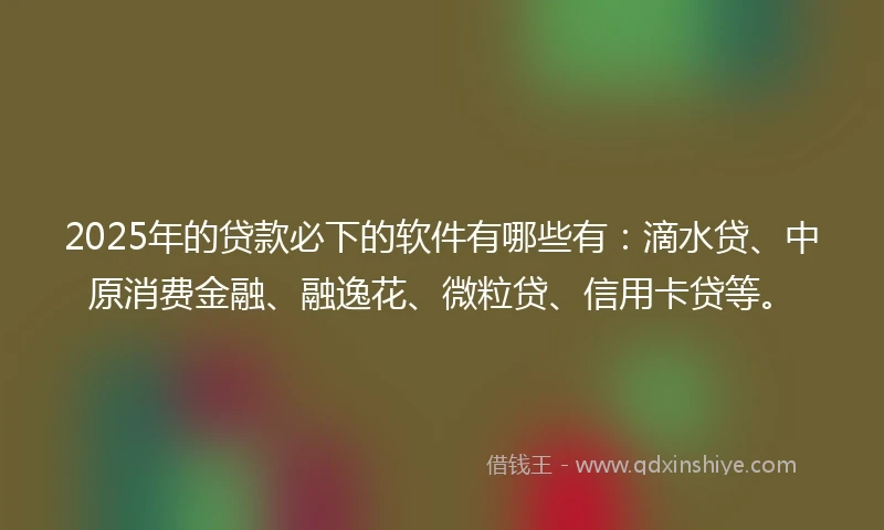 2025年的贷款必下的软件有哪些有：滴水贷、中原消费金融、融逸花、微粒贷、信用卡贷等。