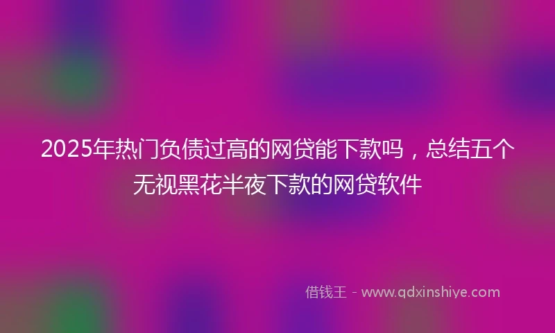 2025年热门负债过高的网贷能下款吗，总结五个无视黑花半夜下款的网贷软件