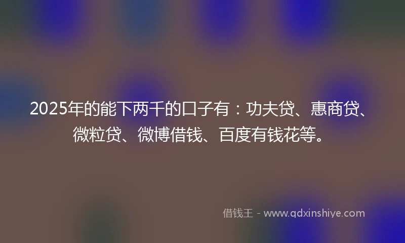 2025年的能下两千的口子有：功夫贷、惠商贷、微粒贷、微博借钱、百度有钱花等。