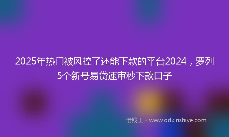 2025年热门被风控了还能下款的平台2024，罗列5个新号易贷速审秒下款口子