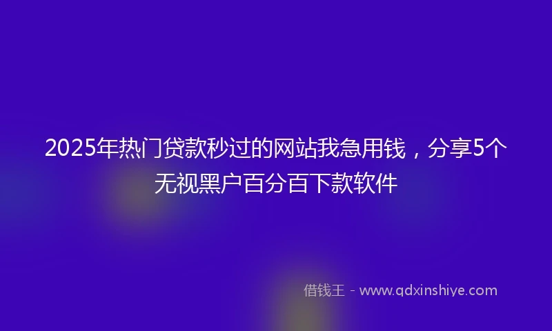 2025年热门贷款秒过的网站我急用钱，分享5个无视黑户百分百下款软件
