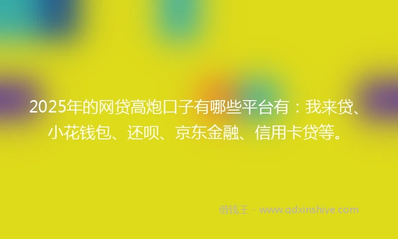 2025年的网贷高炮口子有哪些平台有：我来贷、小花钱包、还呗、京东金融、信用卡贷等。