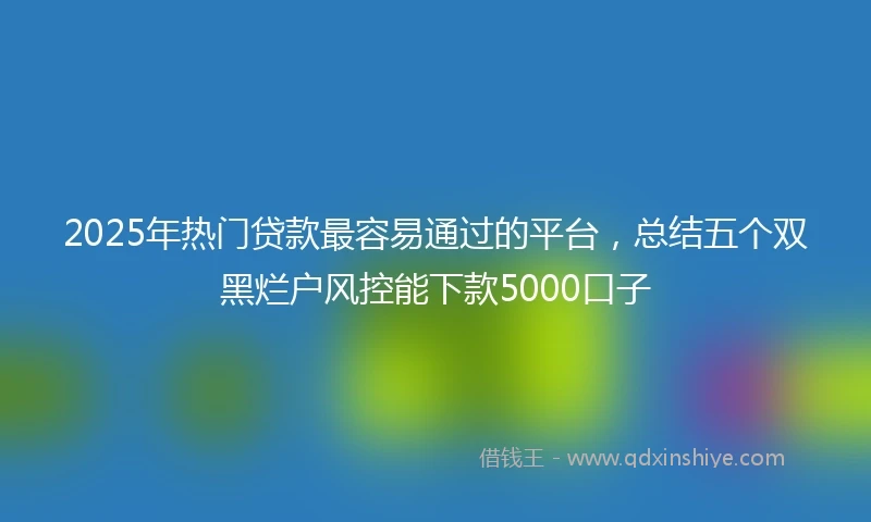 2025年热门贷款最容易通过的平台，总结五个双黑烂户风控能下款5000口子