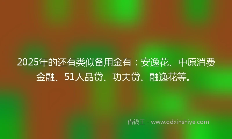 2025年的还有类似备用金有：安逸花、中原消费金融、51人品贷、功夫贷、融逸花等。