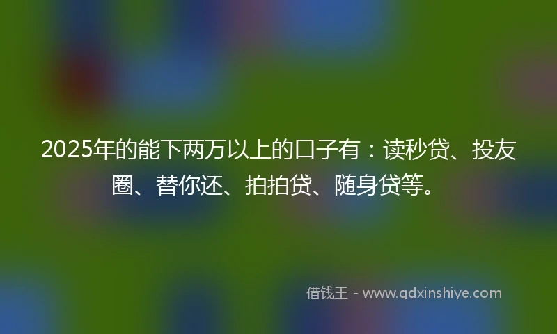 2025年的能下两万以上的口子有：读秒贷、投友圈、替你还、拍拍贷、随身贷等。