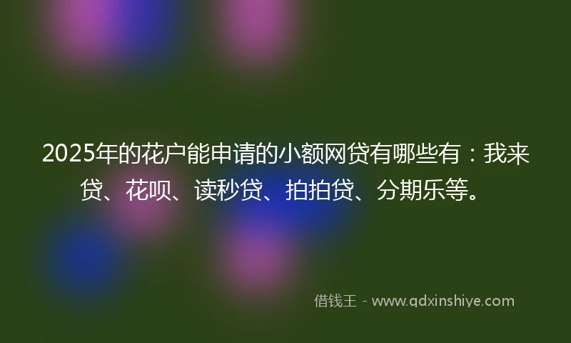 2025年的花户能申请的小额网贷有哪些有：我来贷、花呗、读秒贷、拍拍贷、分期乐等。