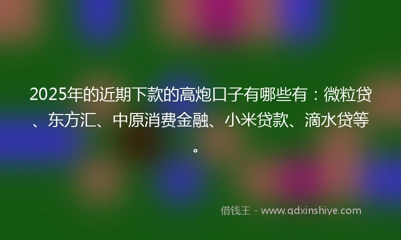 2025年的近期下款的高炮口子有哪些有：微粒贷、东方汇、中原消费金融、小米贷款、滴水贷等。