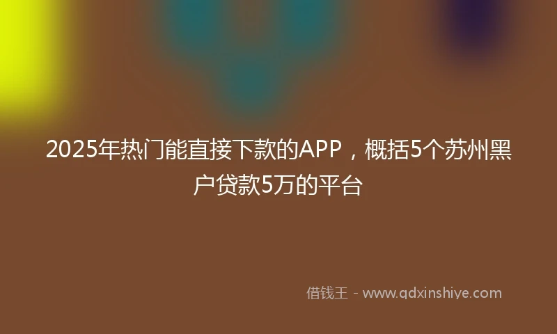 2025年热门能直接下款的APP，概括5个苏州黑户贷款5万的平台