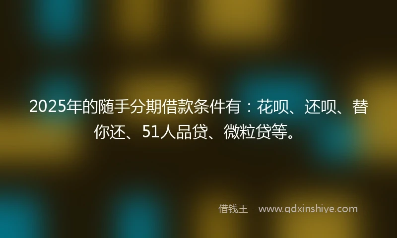 2025年的随手分期借款条件有：花呗、还呗、替你还、51人品贷、微粒贷等。