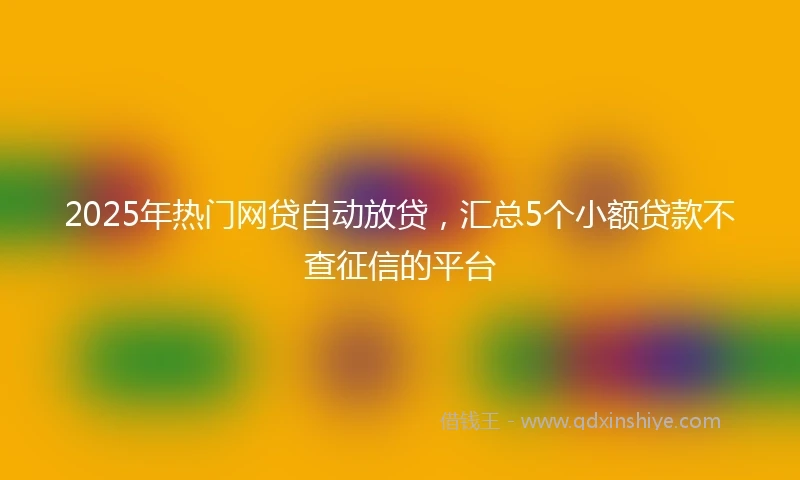 2025年热门网贷自动放贷，汇总5个小额贷款不查征信的平台