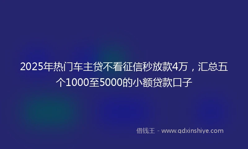2025年热门车主贷不看征信秒放款4万，汇总五个1000至5000的小额贷款口子