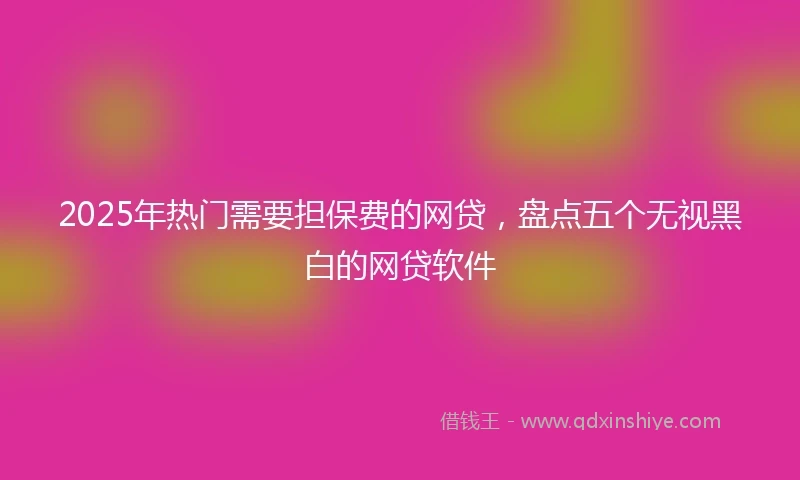 2025年热门需要担保费的网贷，盘点五个无视黑白的网贷软件