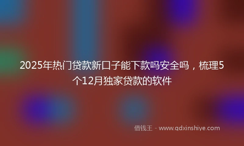 2025年热门贷款新口子能下款吗安全吗，梳理5个12月独家贷款的软件