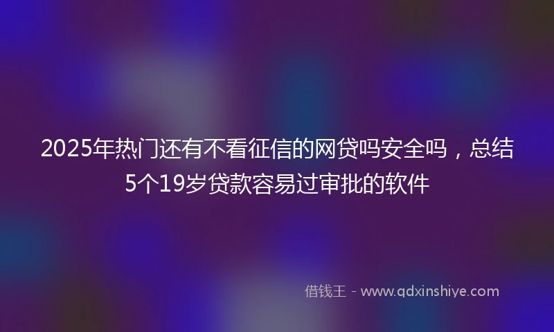 2025年热门还有不看征信的网贷吗安全吗，总结5个19岁贷款容易过审批的软件