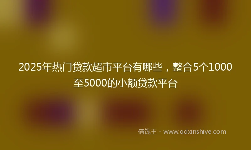 2025年热门贷款超市平台有哪些，整合5个1000至5000的小额贷款平台