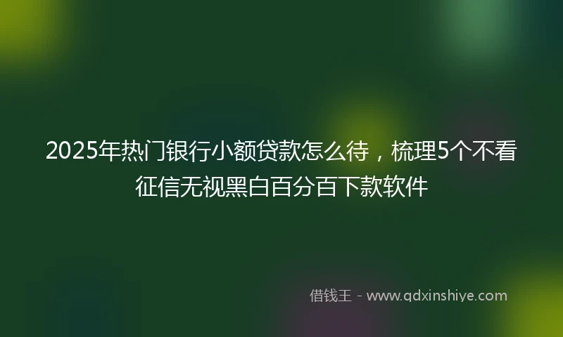 2025年热门银行小额贷款怎么待，梳理5个不看征信无视黑白百分百下款软件