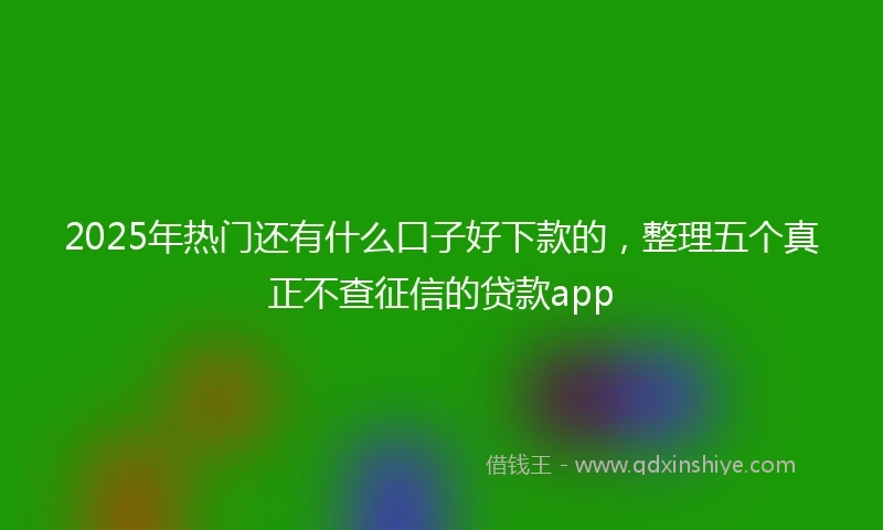 2025年热门还有什么口子好下款的，整理五个真正不查征信的贷款app