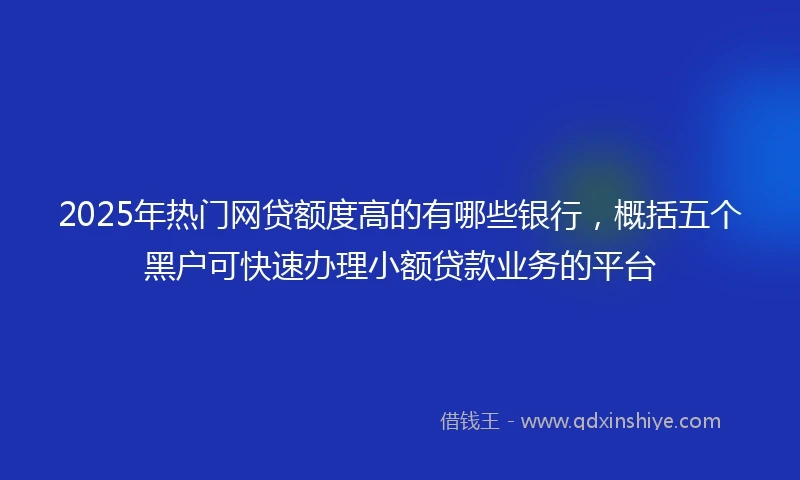 2025年热门网贷额度高的有哪些银行，概括五个黑户可快速办理小额贷款业务的平台