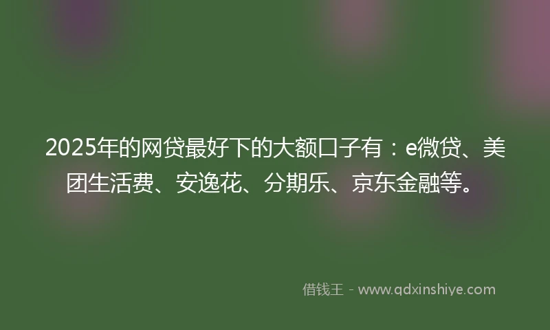 2025年的网贷最好下的大额口子有：e微贷、美团生活费、安逸花、分期乐、京东金融等。