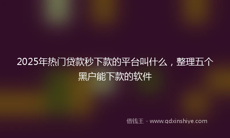 2025年热门贷款秒下款的平台叫什么，整理五个黑户能下款的软件