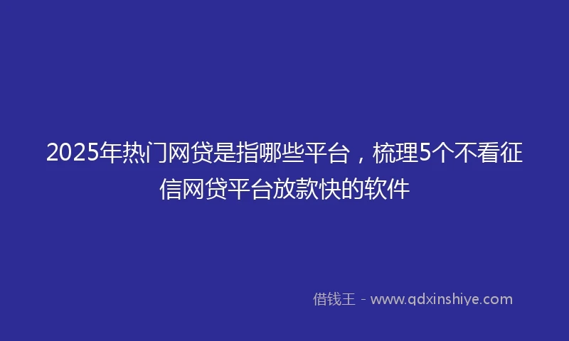 2025年热门网贷是指哪些平台，梳理5个不看征信网贷平台放款快的软件