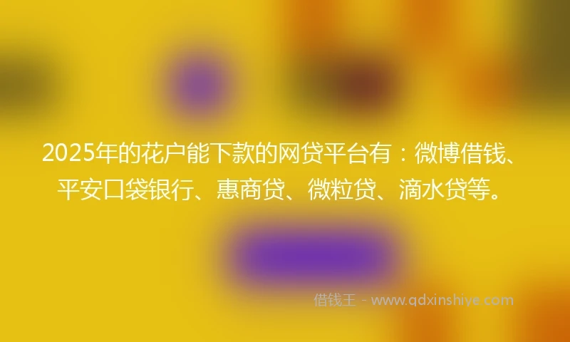 2025年的花户能下款的网贷平台有：微博借钱、平安口袋银行、惠商贷、微粒贷、滴水贷等。