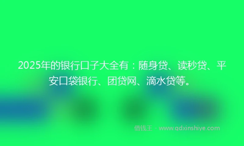 2025年的银行口子大全有：随身贷、读秒贷、平安口袋银行、团贷网、滴水贷等。