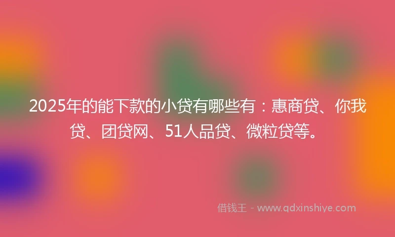 2025年的能下款的小贷有哪些有：惠商贷、你我贷、团贷网、51人品贷、微粒贷等。